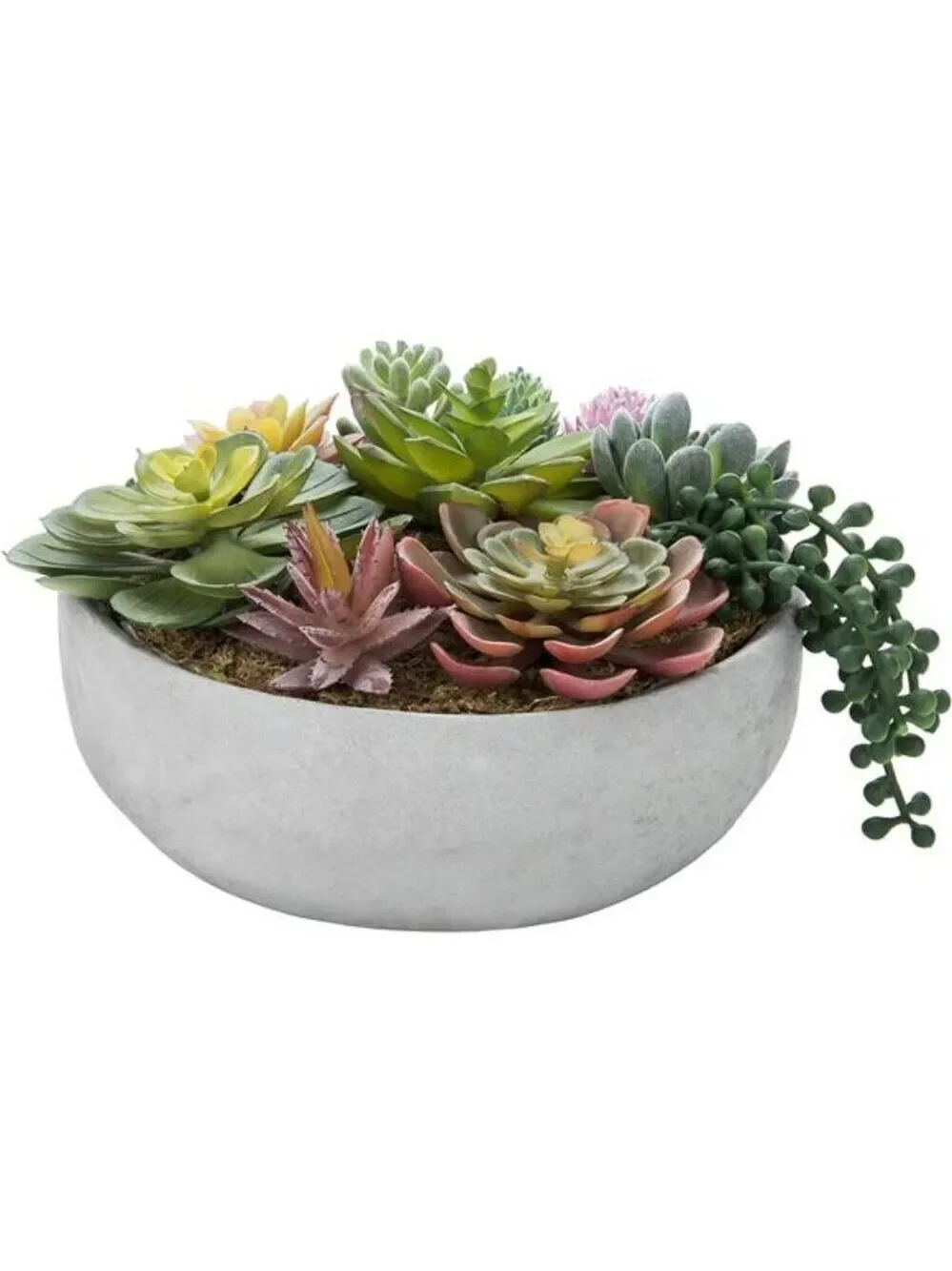 Artificial Succulent Arrangement Faux Plants in Gray Concrete Decorative Planter